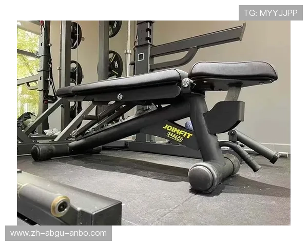 高端肌能进化论新贵族健身器材开启力量新美学